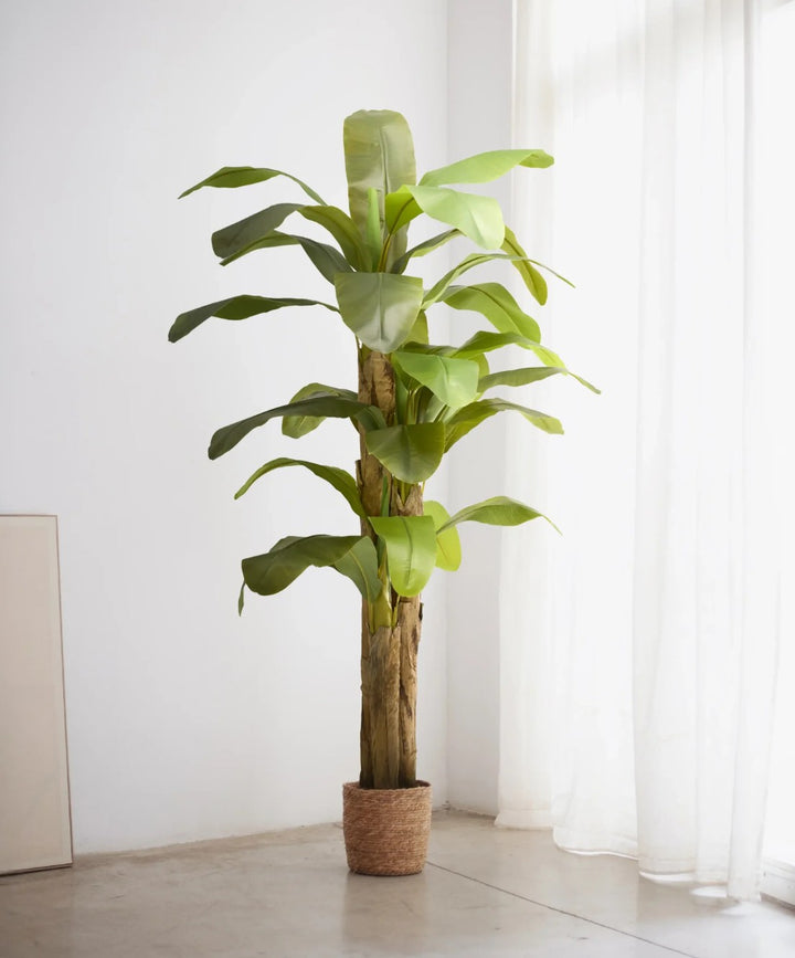 Maia Shop Artificial Banana Tree 6 Feet Tall Tropical Home Decoration, 71 Inches