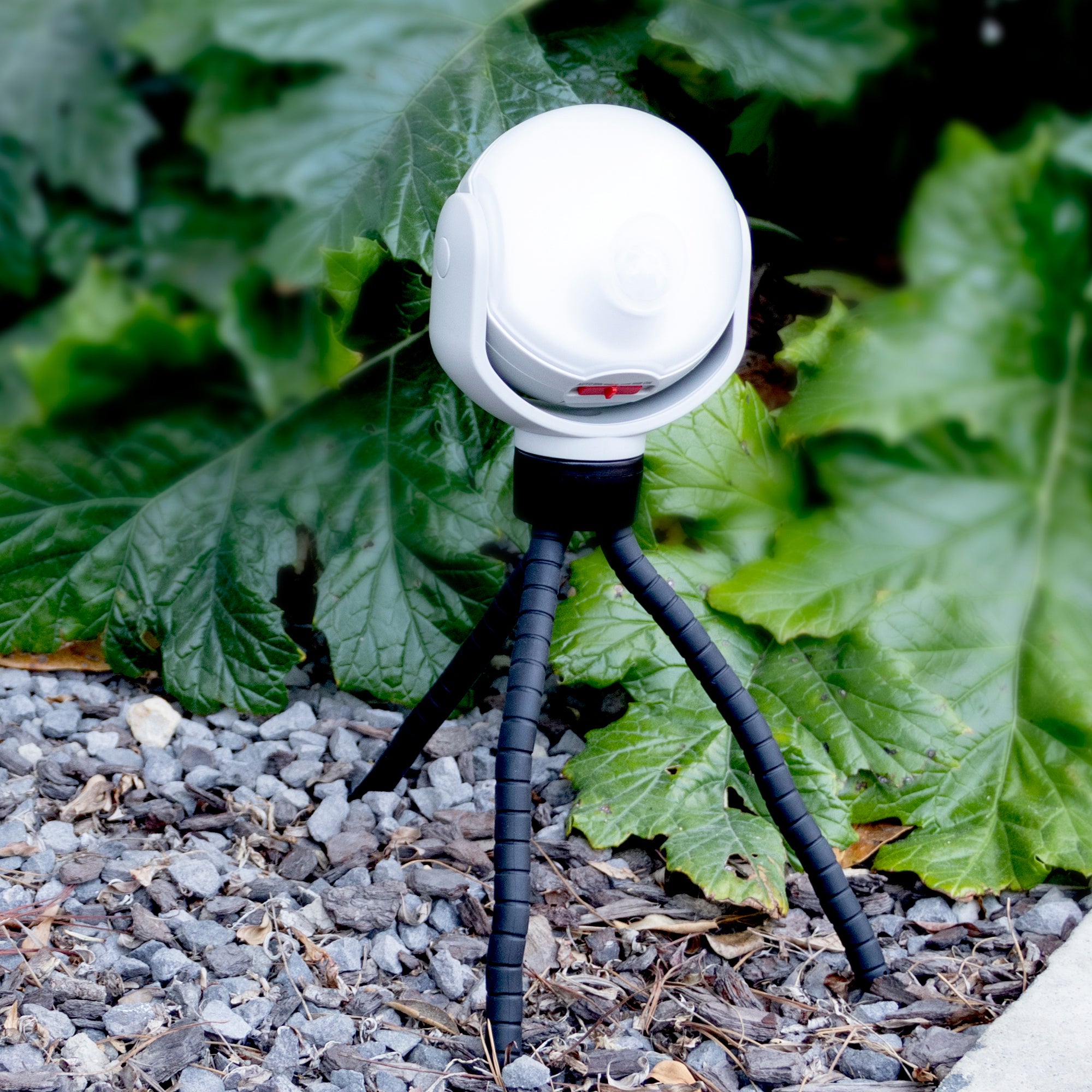 LUXWORX Weather Resistant Battery Powered Motion Sensor Light w/ Flexible Tripod
