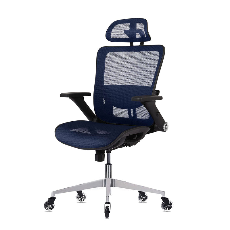 Oline ErgoMax Adjustable Office Chair with Lumbar Support, Navy Blue (Open Box)