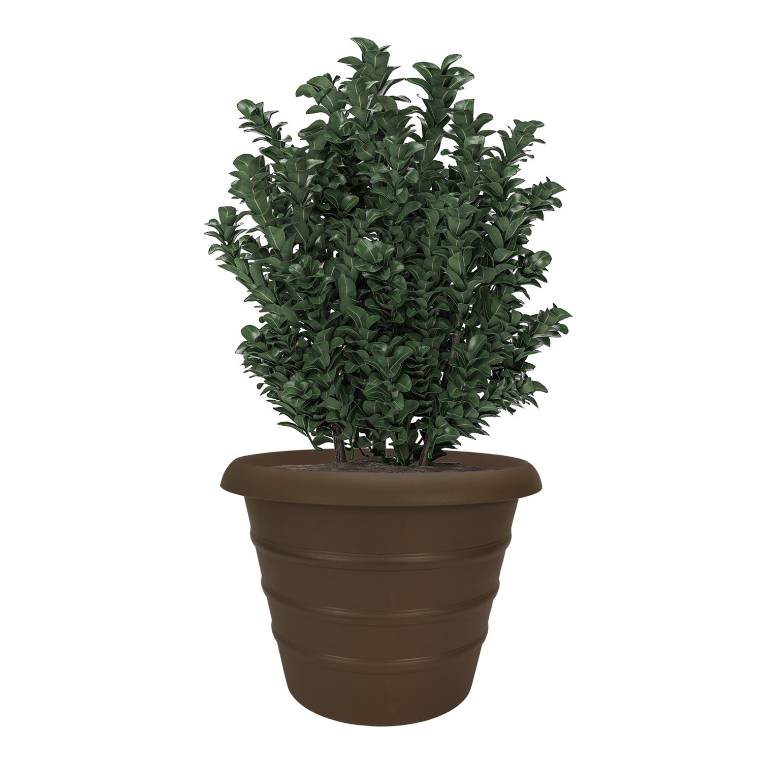 The HC Companies 20" Marina Plastic Planter Pot, Chocolate Brown (Open Box) - VMInnovations