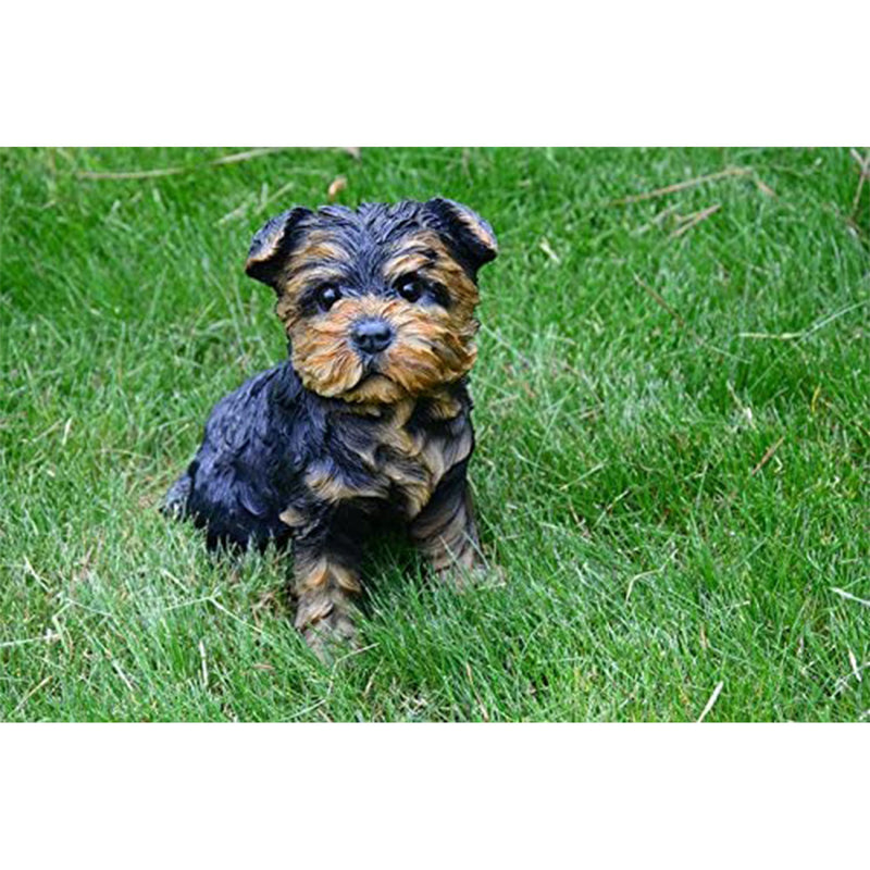 Michael Carr Designs Puppy Love Cavalier King & Yorkshire Terrier Lawn Figurines