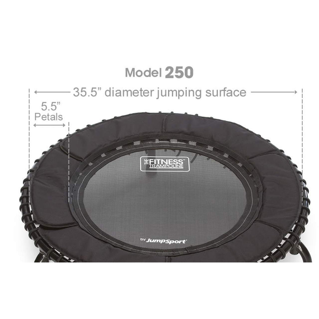 JumpSport 250 Fitness Rebounder Mini Trampoline & Handle Bar Accessory, Black