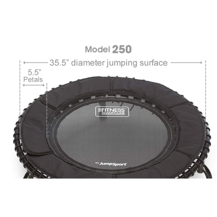 JumpSport 250 Fitness Rebounder Mini Trampoline & Handle Bar Accessory, Black