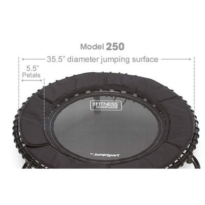 JumpSport 250 Fitness Rebounder Mini Trampoline & Handle Bar Accessory, Black - VMInnovations