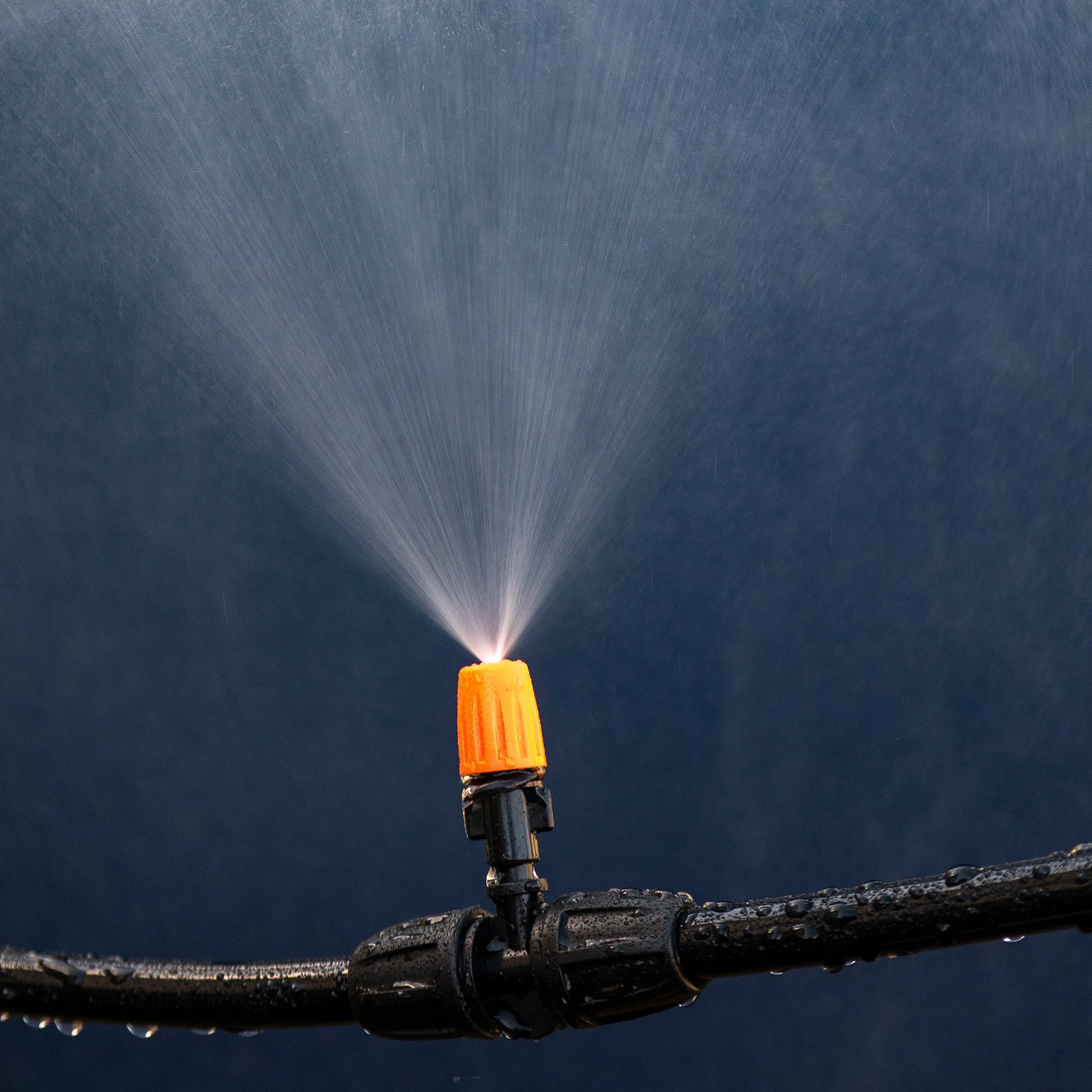 JumpKing Universal Backyard Trampoline Outdoor Water Park Sprinkler Mist Sprayer - VMInnovations