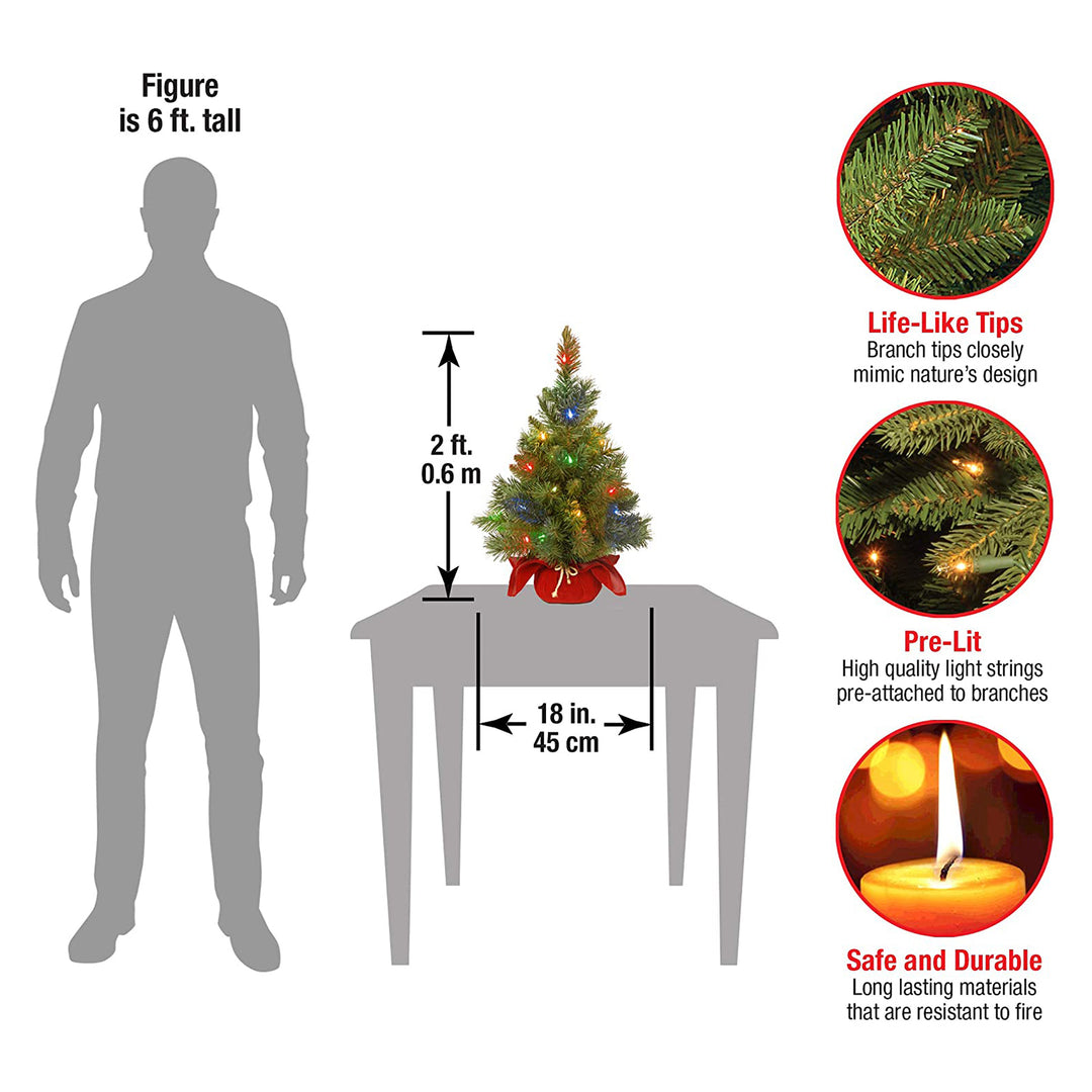 National Tree Company 2 Ft Artificial Majestic Fir w/ Colored Lights (Used)