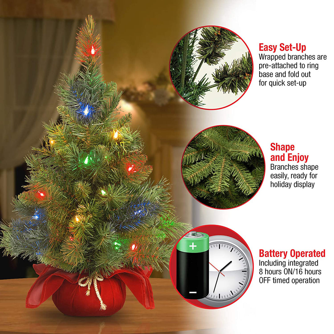 National Tree Company 2 Ft Artificial Majestic Fir w/ Colored Lights (Used)