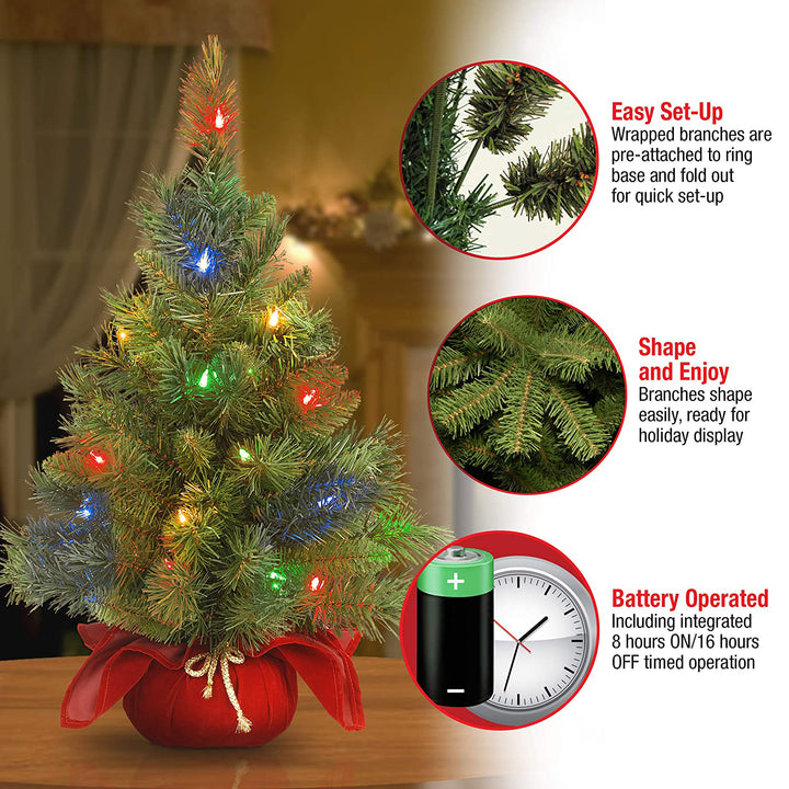 National Tree Company 2 Ft Artificial Majestic Fir w/ Colored Lights (Used)