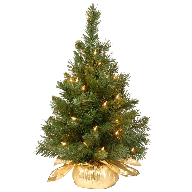 National Tree Company 2Ft Artificial Prelit Majestic Fir Tree w/ Base (Used)