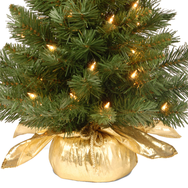 National Tree Company 2Ft Artificial Prelit Majestic Fir Tree w/ Base (Used)