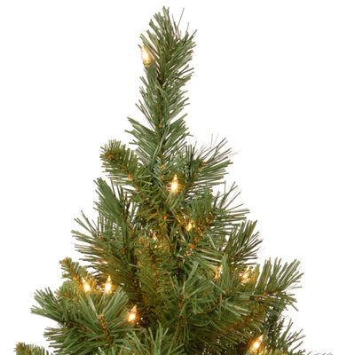 National Tree Company 2Ft Artificial Prelit Majestic Fir Tree w/ Base (Used)