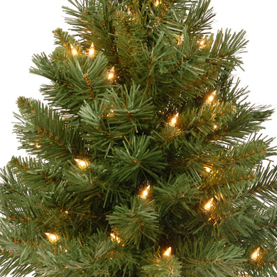 National Tree Company 2Ft Artificial Prelit Majestic Fir Tree w/ Base (Used) - VMInnovations