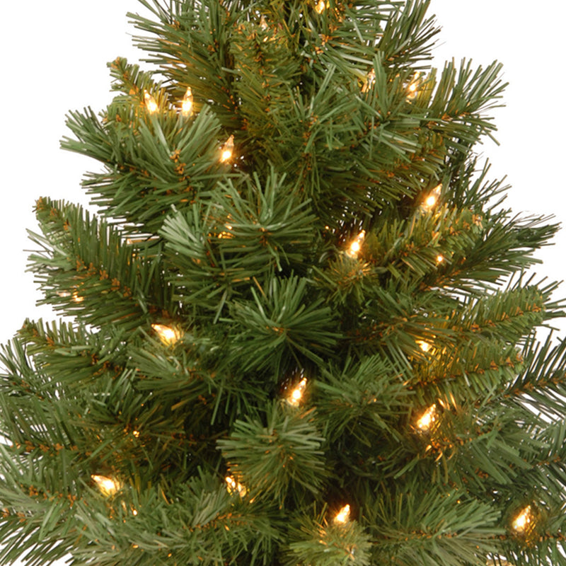 National Tree Company 2Ft Artificial Prelit Majestic Fir Tree w/ Base (Used)