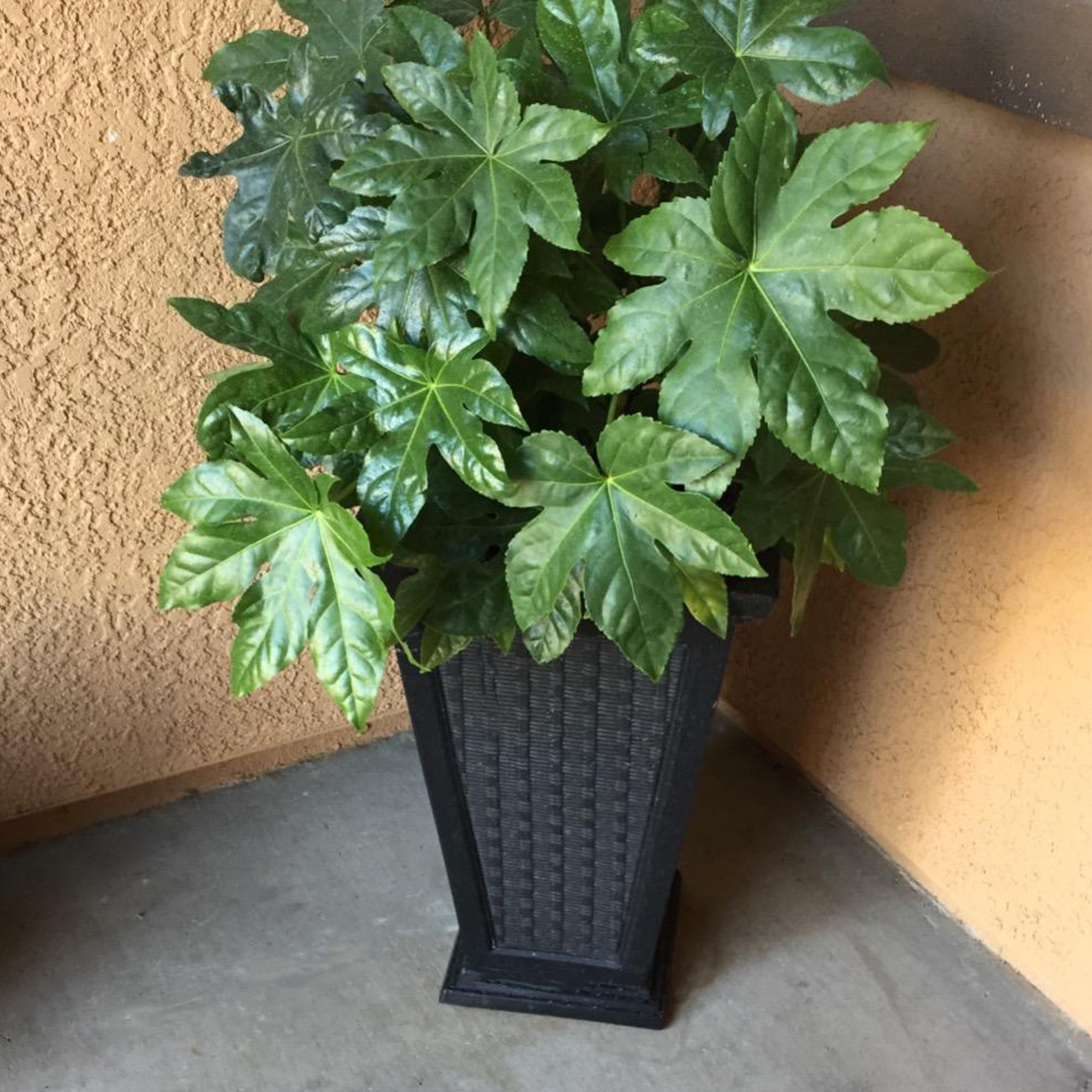 FCMP Outdoor 24-Inch Self Watering Pedestal Home Wicker Planter Set (Used) - VMInnovations