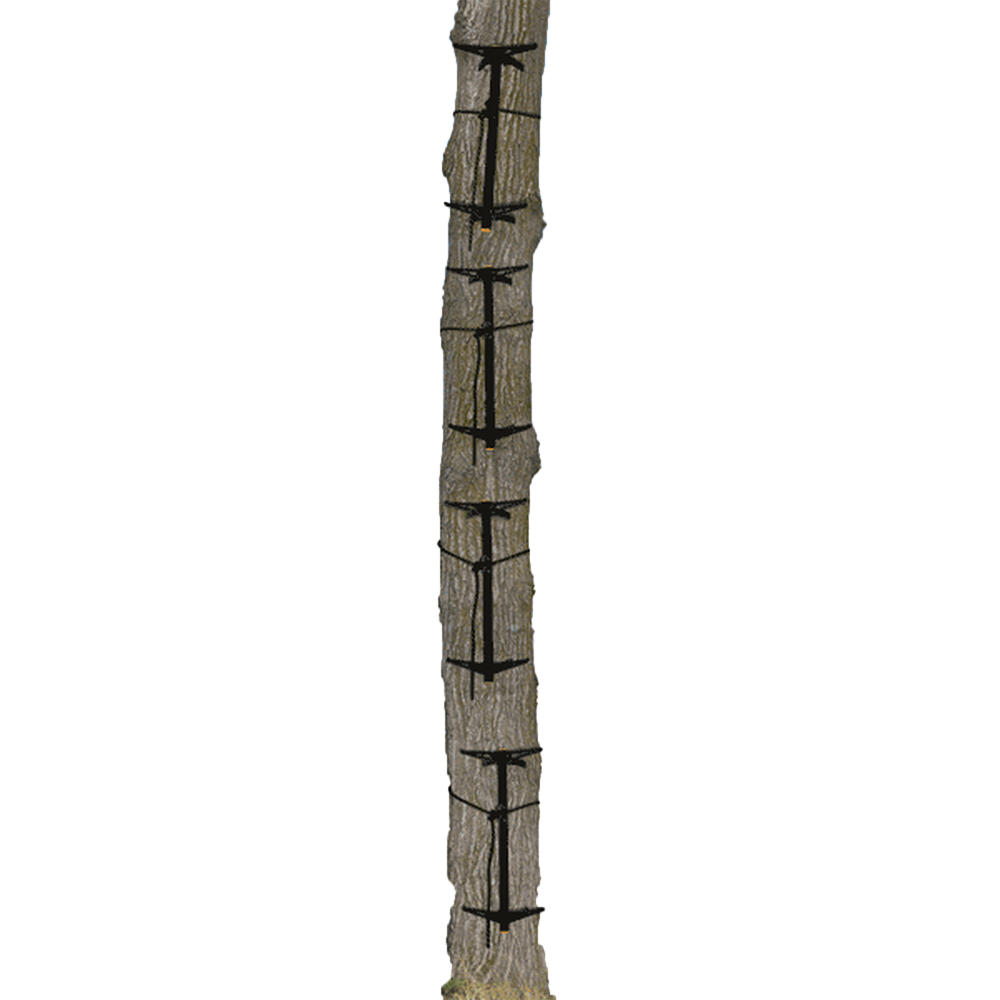 Muddy Pro Climbing Sticks w/Rope Cam Attachment, Tree Stand Hunting Gear, 8 Pack - VMInnovations