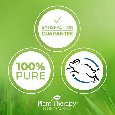 Plant Therapy Diffusible 30mL Complete Essential Oil, 1 Oz, Ylang Ylang (2 Pack) - VMInnovations