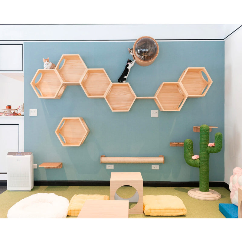 MYZOO Wall Mounted 2 Busycat Hexagon Shelf, and Lack Floating Shelves (6 Pack)