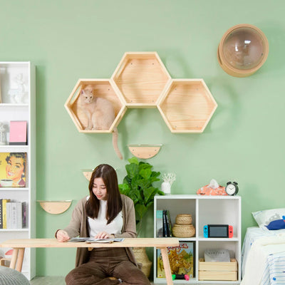 MYZOO Wall Mounted 3 Busycat Hexagon Shelf, and Lack Floating Shelves (4 Pack)