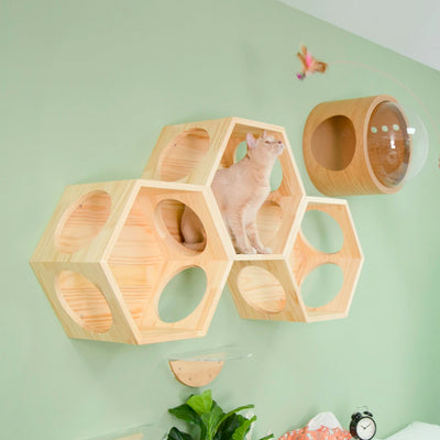 MYZOO Wall Mounted 2 Busycat Hexagon Shelf, and Lack Floating Shelves (6 Pack)