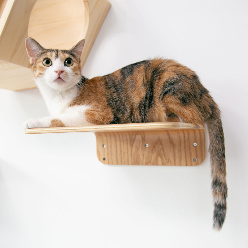 MYZOO Lack Floating Medium Modern Wood Wall Mounted Cat Shelves, Oak, (2 Pack)