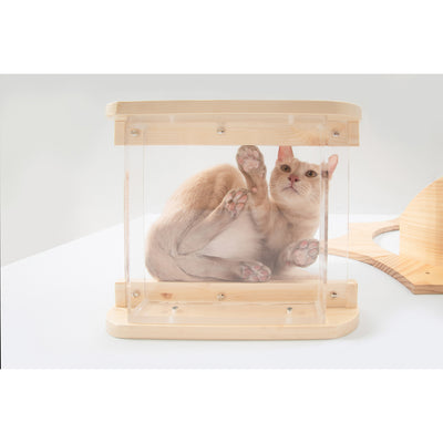 MYZOO Floating Cloud Wall Mounted Wood Cat Shelf w/ Transparent Bottom (3 Pack)