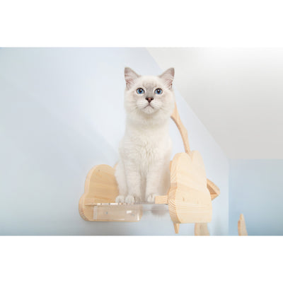 MYZOO Floating Cloud Wall Mounted Wood Cat Shelf w/ Transparent Bottom (2 Pack)