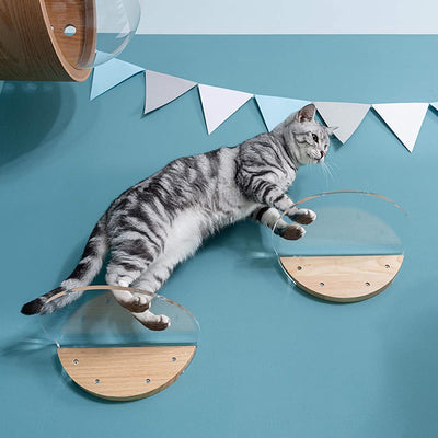 MYZOO Clear Floating Round Lack Wood Wall Mounted Transparent Cat Shelf (4 Pack)