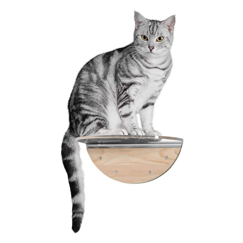 MYZOO Clear Floating Round Lack Modern Wood Wall Mounted Transparent Cat Shelf