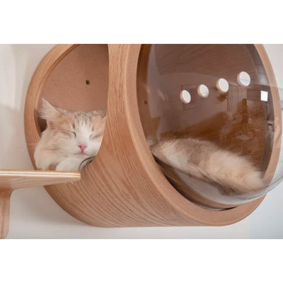 MYZOO Spaceship Gamma Modern Wood Cat Bed Wall Mounted Open Right Shelf, Walnut
