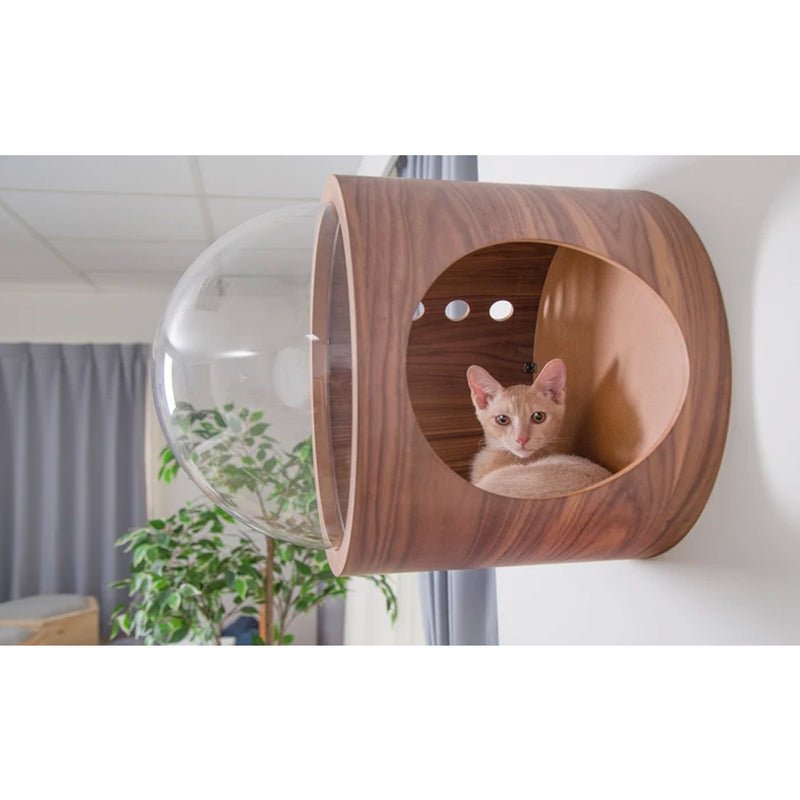 MYZOO Spaceship Gamma Modern Wood Cat Bed Wall Mounted Open Right Shelf, Walnut