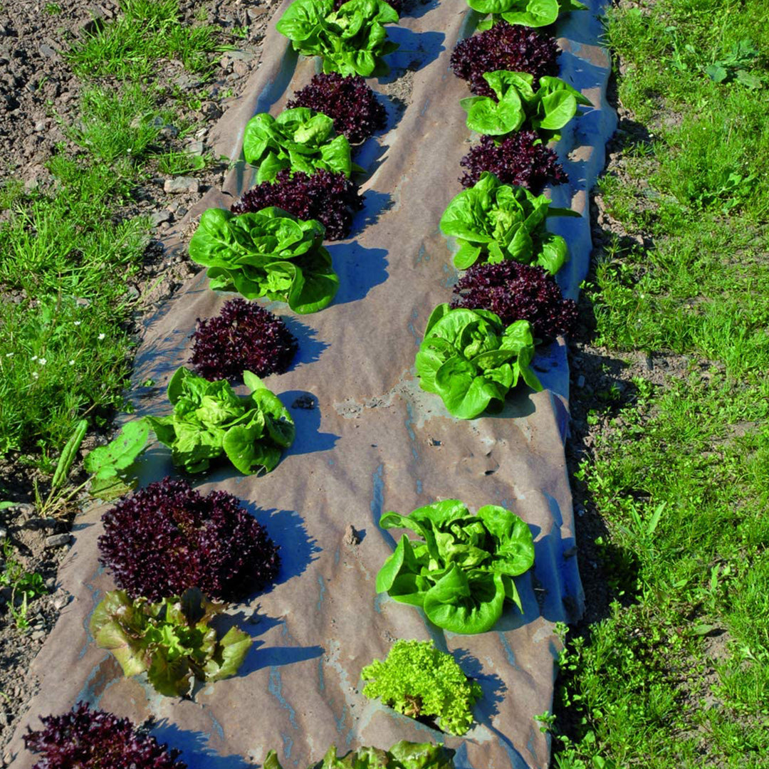 DeWitt 3x300 Ft Natural Biodegradable Paper Mulch Garden Weed Barrier (Open Box) - VMInnovations