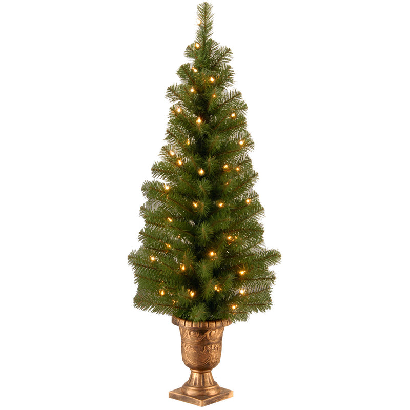 National Tree Company Montclair Spruce 4 Feet Entryway Christmas Tree (Used)