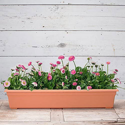 Novelty 36 Inch High Grade Plastic Countryside Flower Box, Matte Terracotta