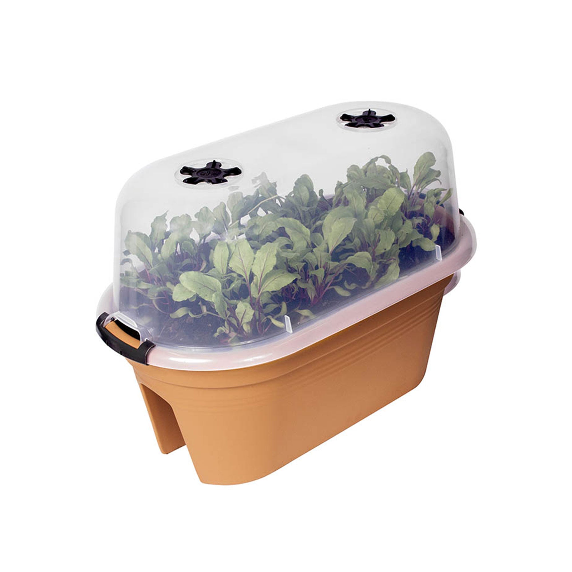 Exaco Trading Oval Terra Bridge Planter with Cover and 2 Vents, Terra Cotta