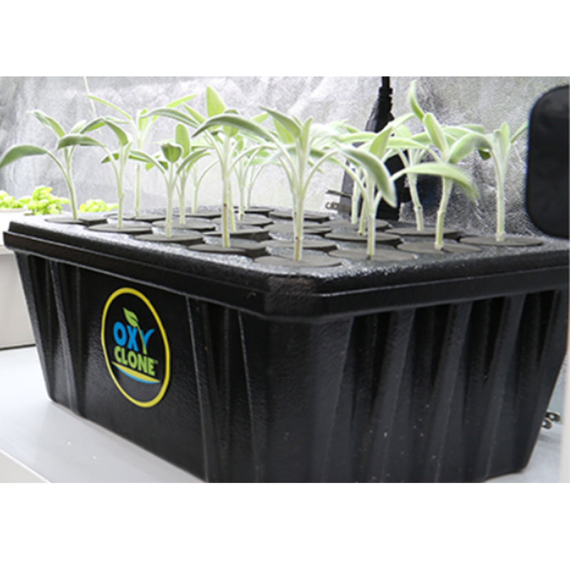 OxyCLONE OX20SYS 20 Site Hydroponics Compact Recirculating Cloning System Kit