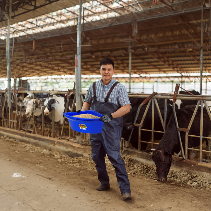 Little Giant Heavy Duty Plastic Corner Feeder Holds 6.5 Gallons, Blue (Used) - VMInnovations