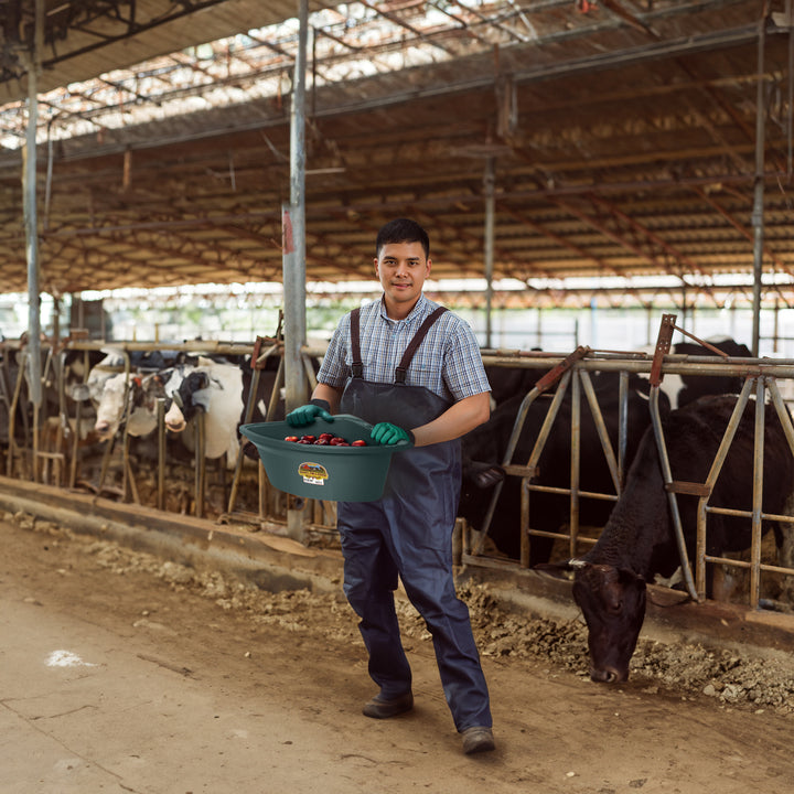 Little Giant 26 Qt Hanging Corner Livestock Feeder Bucket, Green (Open Box) - VMInnovations