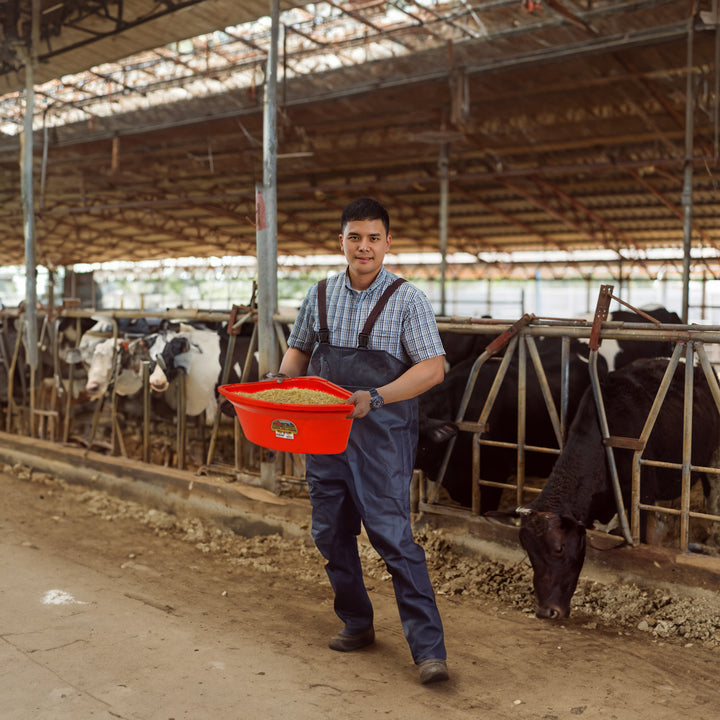 Little Giant 26Qt Hanging Corner Livestock Animal Feeder Bucket, Red (Open Box)