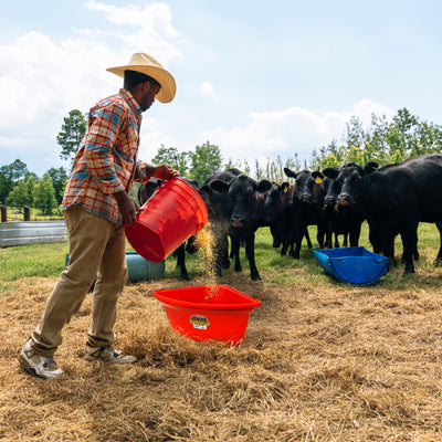 Little Giant 26Qt Hanging Corner Livestock Animal Feeder Bucket, Red (Open Box) - VMInnovations