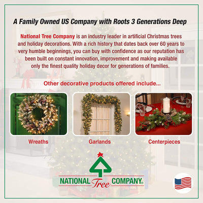 National Tree Company 2 Ft Artificial Majestic Fir w/ Colored Lights (Used) - VMInnovations
