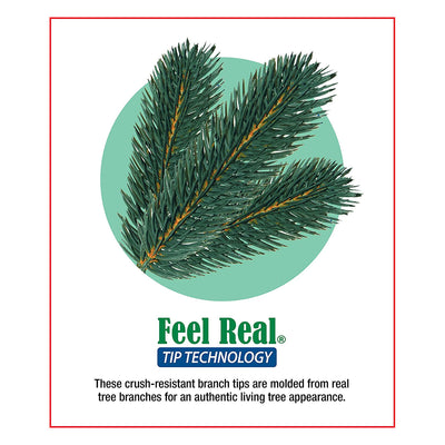 National Tree Company 24 Inch Colonial Wreath with Dual Color Lights(Open Box) - VMInnovations