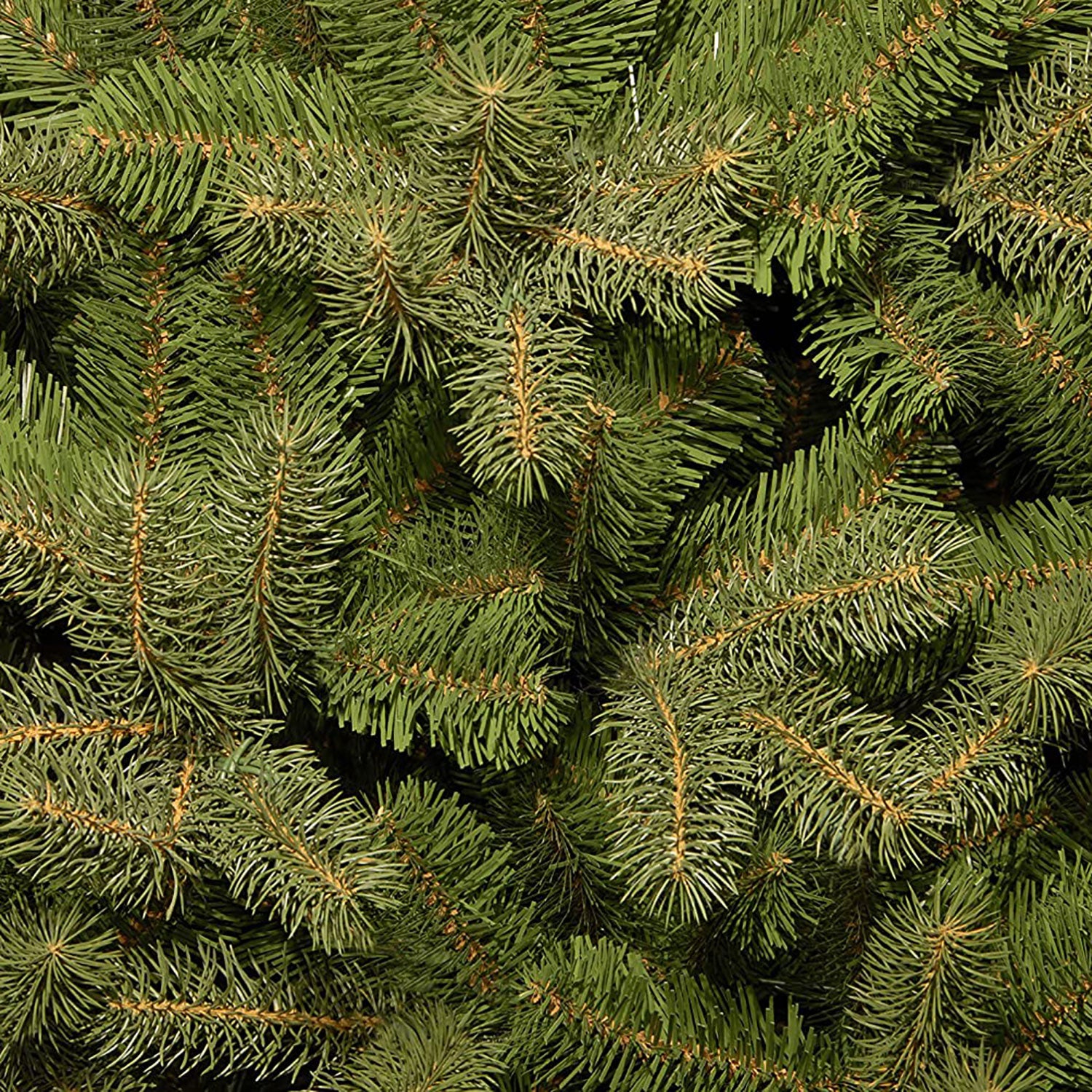 National Tree Company Downswept Douglas 7 Foot Christmas Tree & Color Lights