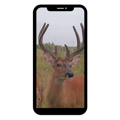 Browning Defender 20MP IR Cellular Wireless Game Trail Camera and 2 16GB SD Card