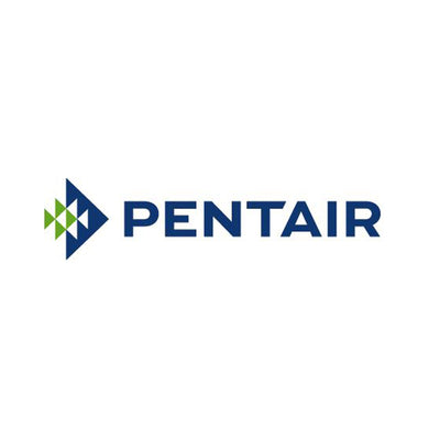 Pentair Swimming Pool/Spa 2-Inch PVC Piston Rod Assembly Replacement (Open Box)