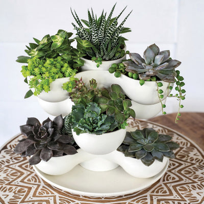 The HC Companies 8" Pixie Indoor Stacking Succulent Planter Pot, Artisan Taupe