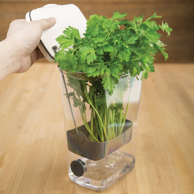 Progressive International Plastic ProKeeper Herb Keeper, 1 Piece, White (Used)