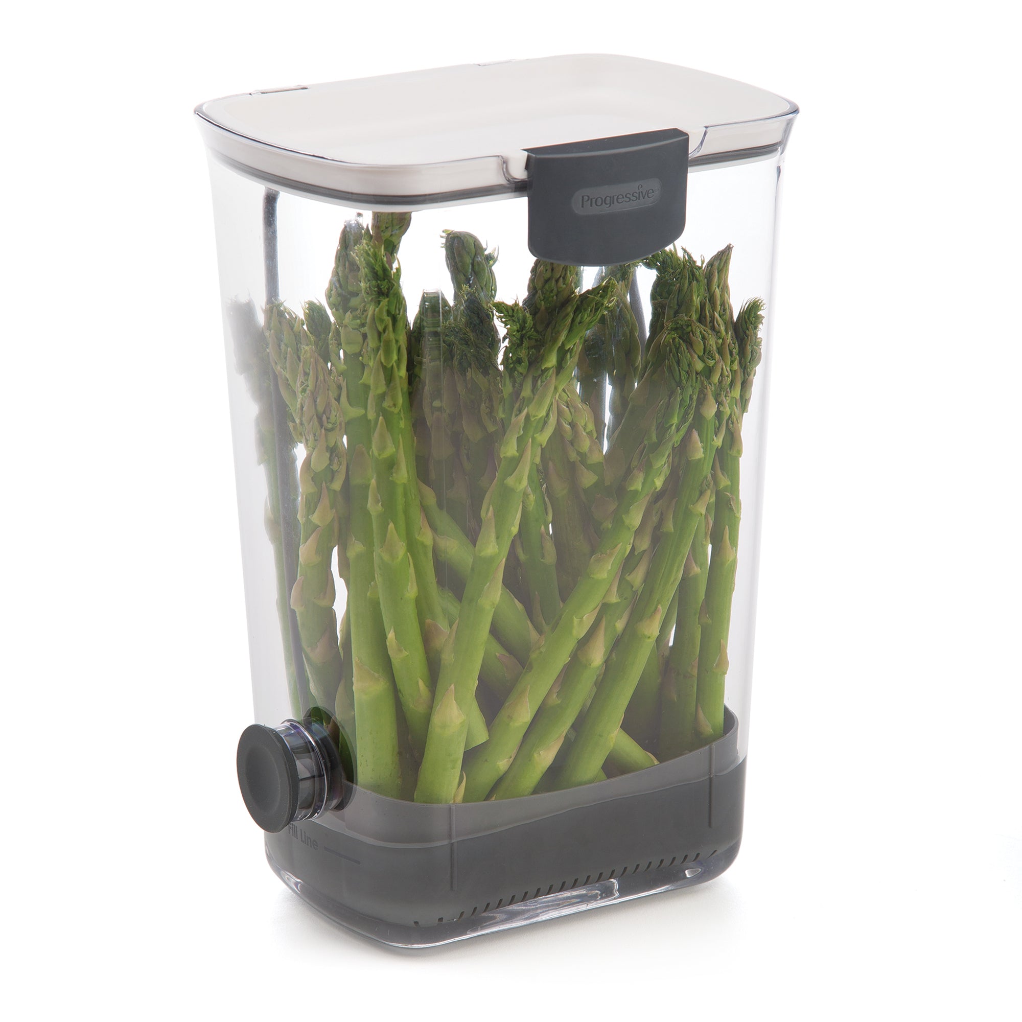 Progressive International Plastic ProKeeper Herb Keeper, 1 Piece, White (Used)