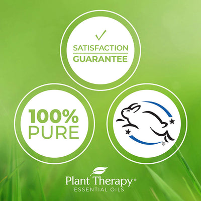 Plant Therapy Aromatherapy Diffusible Essential Oil, 1 Oz, Chill Out (2 Pack)