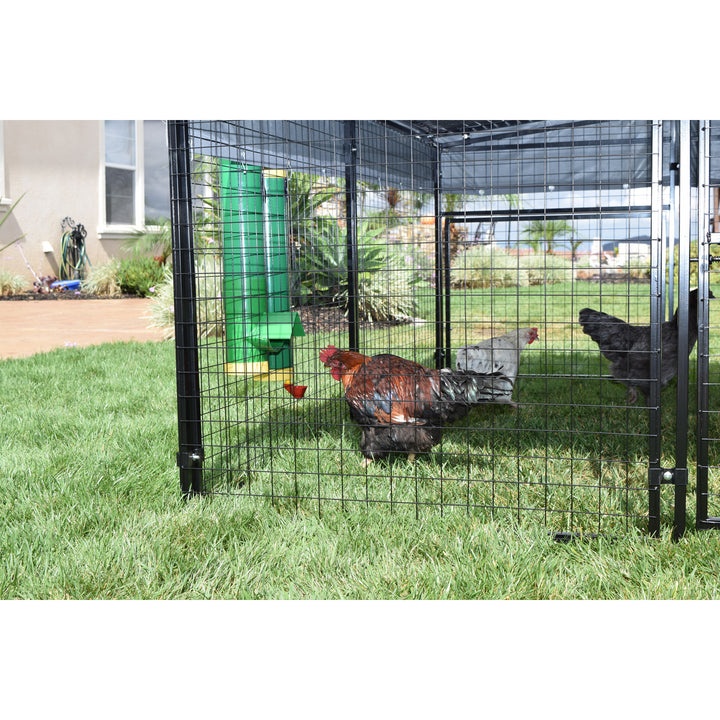 Rugged Ranch High End Hen Elevated 10 Pound Poultry Feeder and Mounting System