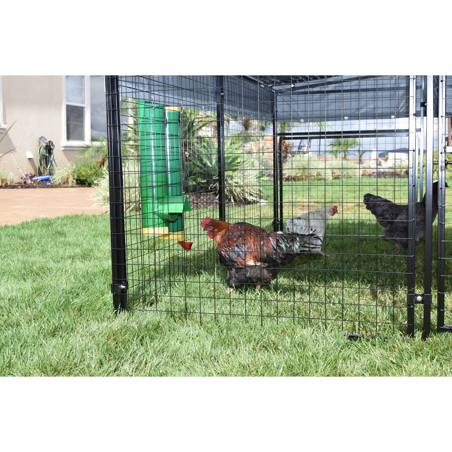 Rugged Ranch Hen Elevated 10LB Poultry Feeder and Mounting System (Open Box) - VMInnovations